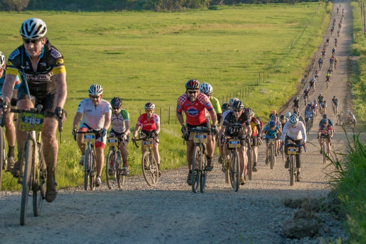 DSC_1838-(ZF-9614-10542-1-001)