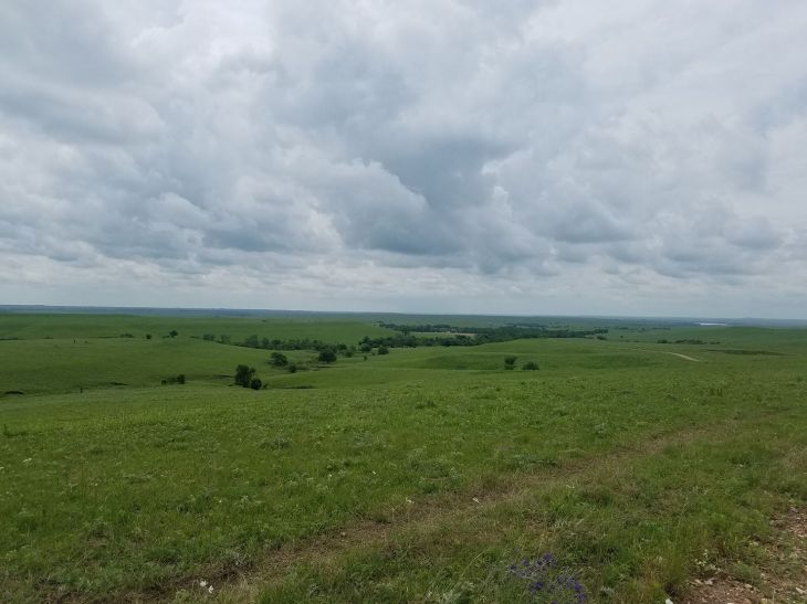 18921146_10211235035664424_5479857057133262155_o